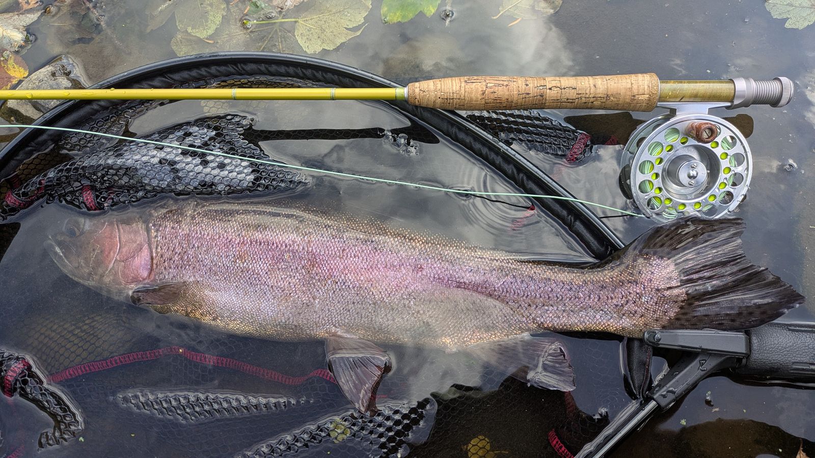 What’s lurking beneath the surface….